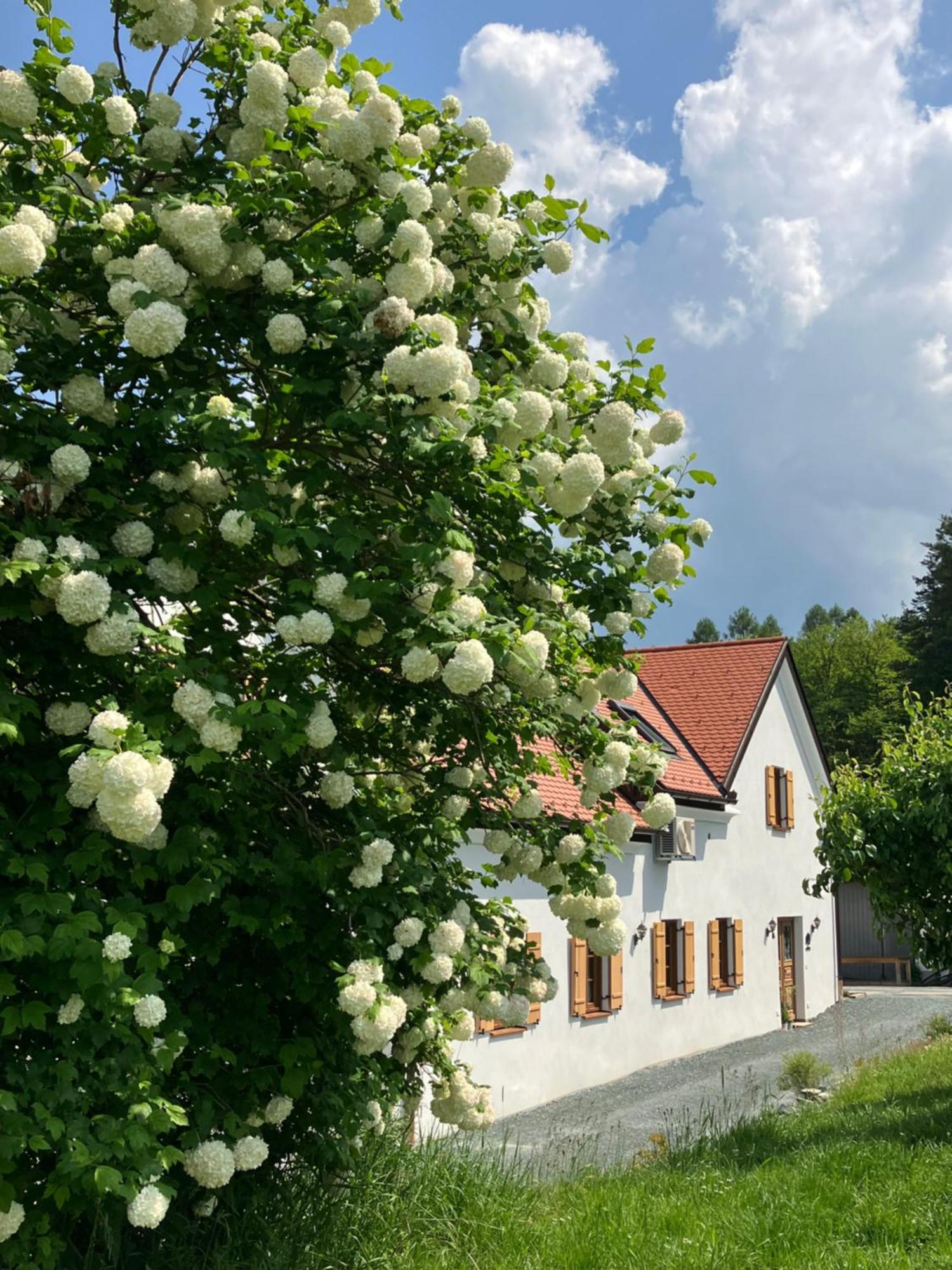 Der Hof Am Wald Villa Weichselbaum Exterior photo